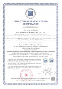 質(zhì)量管理體系認證證書-英文